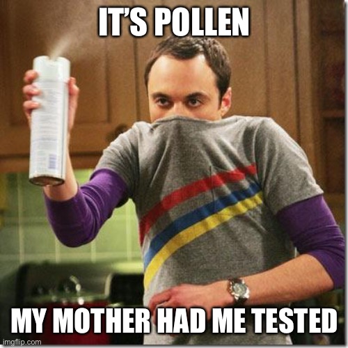 Allergy Season! | IT’S POLLEN; MY MOTHER HAD ME TESTED | image tagged in air freshener sheldon cooper | made w/ Imgflip meme maker
