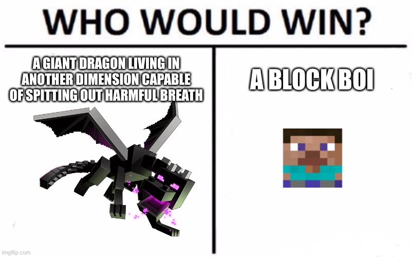Who Would Win? | A GIANT DRAGON LIVING IN ANOTHER DIMENSION CAPABLE OF SPITTING OUT HARMFUL BREATH; A BLOCK BOI | image tagged in memes,who would win | made w/ Imgflip meme maker
