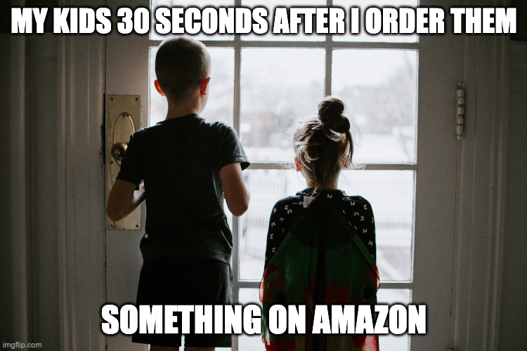Amazon Prime Kids | MY KIDS 30 SECONDS AFTER I ORDER THEM; SOMETHING ON AMAZON | image tagged in amazon,amazon prime,amazon family | made w/ Imgflip meme maker