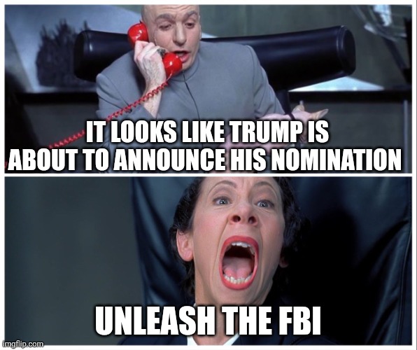 Democrats style democracy |  IT LOOKS LIKE TRUMP IS ABOUT TO ANNOUNCE HIS NOMINATION; UNLEASH THE FBI | image tagged in dr evil and frau yelling | made w/ Imgflip meme maker