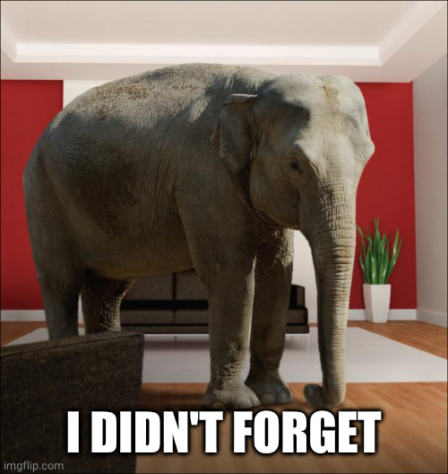 Elephant In The Room | I DIDN'T FORGET | image tagged in elephant in the room | made w/ Imgflip meme maker