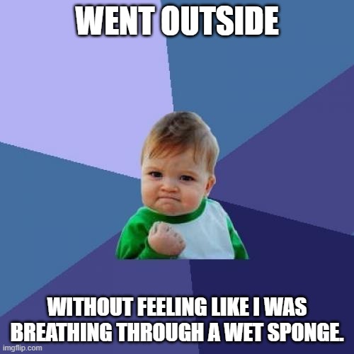 The heatwave is over |  WENT OUTSIDE; WITHOUT FEELING LIKE I WAS BREATHING THROUGH A WET SPONGE. | image tagged in memes,success kid | made w/ Imgflip meme maker
