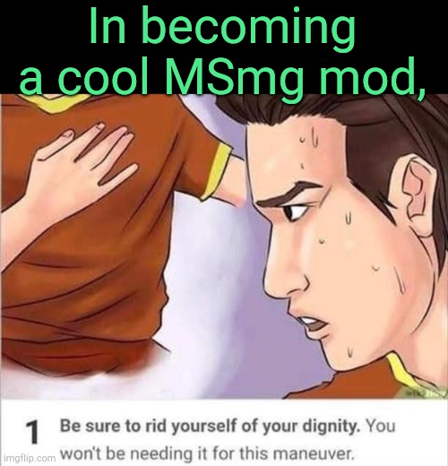 . | In becoming a cool MSmg mod, | image tagged in the dignity maneuver | made w/ Imgflip meme maker