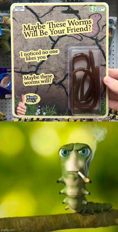 Worms | image tagged in worm with cigarette,fake products,fake product,worms,worm,memes | made w/ Imgflip meme maker
