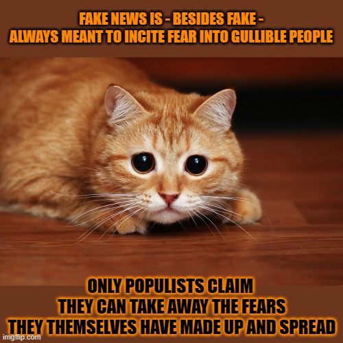 This #lolcat wonders why people can't see that fake news only exists to incite fear into gullible people. | FAKE NEWS IS - BESIDES FAKE -
ALWAYS MEANT TO INCITE FEAR INTO GULLIBLE PEOPLE; ONLY POPULISTS CLAIM 
THEY CAN TAKE AWAY THE FEARS
THEY THEMSELVES HAVE MADE UP AND SPREAD | image tagged in gullible,fake news,lolcat,think about it | made w/ Imgflip meme maker