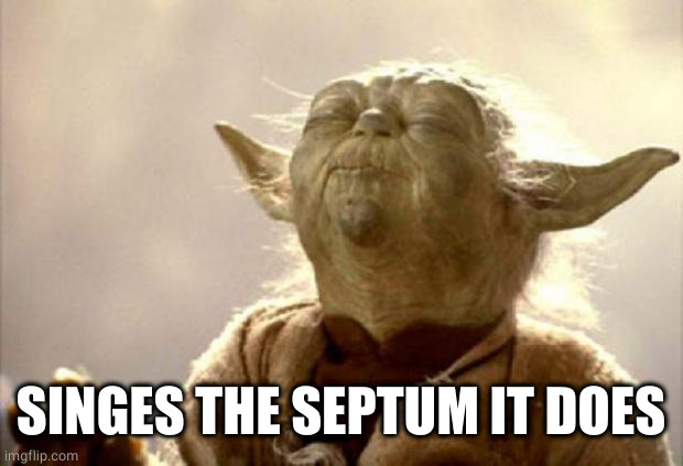 yoda smell | SINGES THE SEPTUM IT DOES | image tagged in yoda smell | made w/ Imgflip meme maker