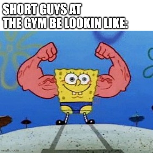 Bruh | SHORT GUYS AT THE GYM BE LOOKIN LIKE: | image tagged in gym,short | made w/ Imgflip meme maker