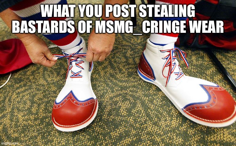 Clown shoes | WHAT YOU POST STEALING BASTARDS OF MSMG_CRINGE WEAR | image tagged in clown shoes | made w/ Imgflip meme maker