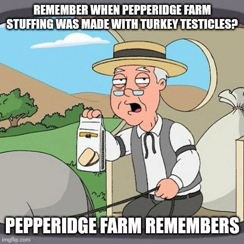 Pepperidge Farm Remembers Meme | REMEMBER WHEN PEPPERIDGE FARM STUFFING WAS MADE WITH TURKEY TESTICLES? PEPPERIDGE FARM REMEMBERS | image tagged in memes,pepperidge farm remembers | made w/ Imgflip meme maker