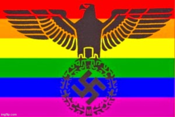 image tagged in nazi rainbow flag gay nazis pink swastika ernst rohm walther | made w/ Imgflip meme maker
