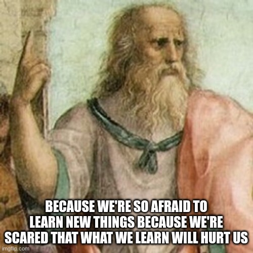 Philosopher | BECAUSE WE'RE SO AFRAID TO LEARN NEW THINGS BECAUSE WE'RE SCARED THAT WHAT WE LEARN WILL HURT US | image tagged in philosopher | made w/ Imgflip meme maker