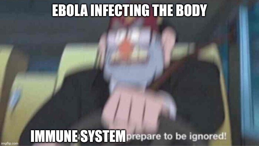 Road safety laws prepare to be ignored! | EBOLA INFECTING THE BODY; IMMUNE SYSTEM | image tagged in road safety laws prepare to be ignored | made w/ Imgflip meme maker