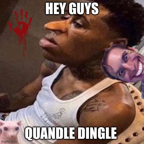 hey guys quandle  dingle | HEY GUYS; QUANDLE DINGLE | image tagged in quandale dingle | made w/ Imgflip meme maker