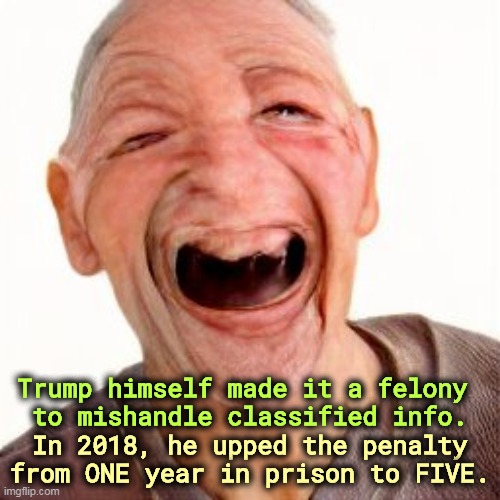 But his boxes! | Trump himself made it a felony 
to mishandle classified info. In 2018, he upped the penalty from ONE year in prison to FIVE. | image tagged in trump,classified,papers,felony,boxes | made w/ Imgflip meme maker