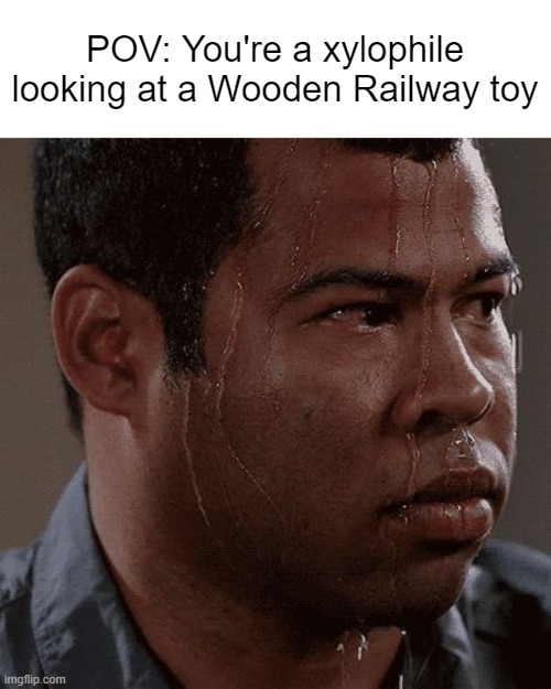 Imagine though... | POV: You're a xylophile looking at a Wooden Railway toy | image tagged in sweaty tryhard,memes,wooden railway,funny | made w/ Imgflip meme maker