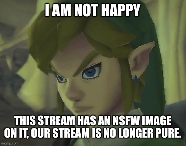 Delete that nsfw image | I AM NOT HAPPY; THIS STREAM HAS AN NSFW IMAGE ON IT, OUR STREAM IS NO LONGER PURE. | image tagged in angry link | made w/ Imgflip meme maker
