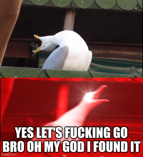 Screaming bird | YES LET'S FUCKING GO BRO OH MY GOD I FOUND IT | image tagged in screaming bird | made w/ Imgflip meme maker