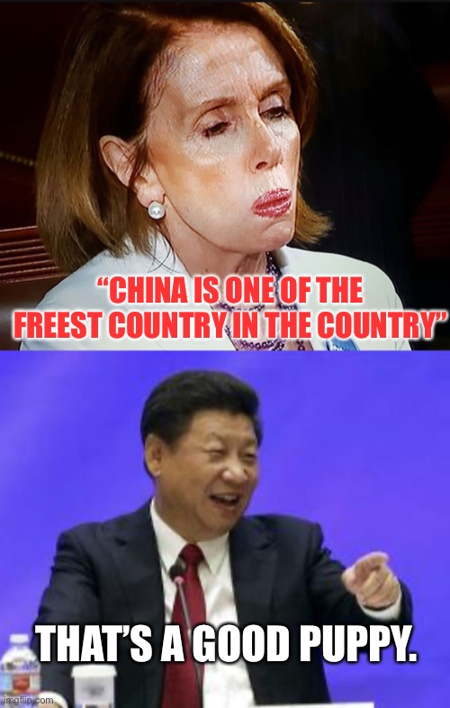  “CHINA IS ONE OF THE FREEST COUNTRY IN THE COUNTRY”; THAT’S A GOOD PUPPY. | image tagged in nancy pelosi pb sandwich,xi jinping laughing | made w/ Imgflip meme maker