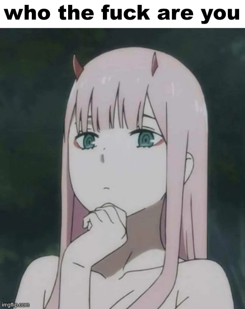 zero two says who the fuck are you | image tagged in zero two says who the fuck are you | made w/ Imgflip meme maker