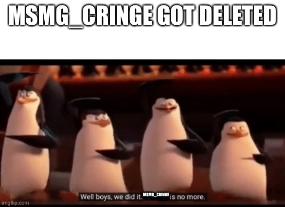 Let’s party! | MSMG_CRINGE GOT DELETED; MSMG_CRINGE | image tagged in well boys we did it blank is no more | made w/ Imgflip meme maker