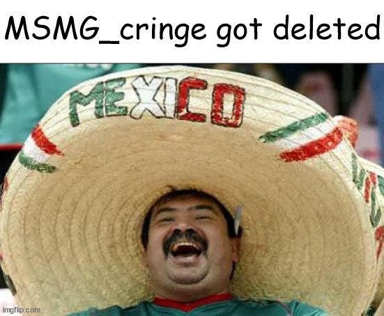 VIVA LA MEXICOOOOOOO | MSMG_cringe got deleted | made w/ Imgflip meme maker