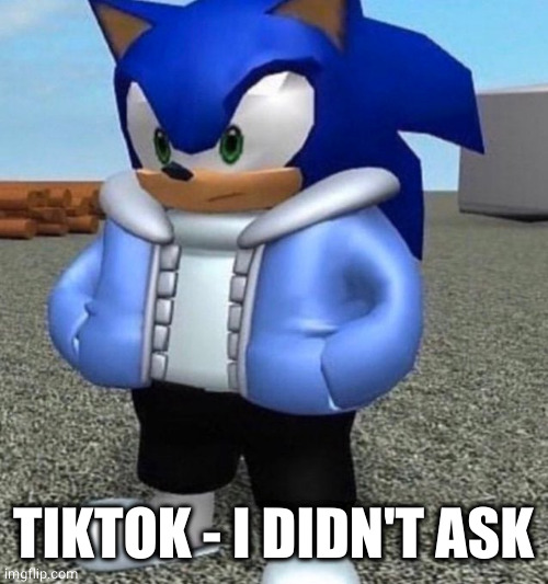 Sonic sans undertale | TIKTOK - I DIDN'T ASK | image tagged in sonic sans undertale | made w/ Imgflip meme maker