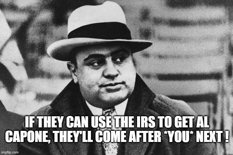 IF THEY CAN USE THE IRS TO GET AL CAPONE, THEY'LL COME AFTER *YOU* NEXT ! | image tagged in taxes | made w/ Imgflip meme maker