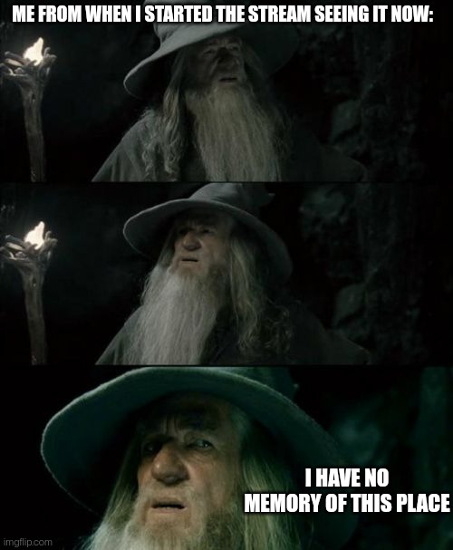 This stream has really changed since the start | ME FROM WHEN I STARTED THE STREAM SEEING IT NOW:; I HAVE NO MEMORY OF THIS PLACE | image tagged in memes,confused gandalf | made w/ Imgflip meme maker