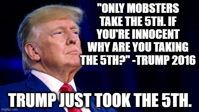 Typical Trump | "ONLY MOBSTERS TAKE THE 5TH. IF YOU'RE INNOCENT WHY ARE YOU TAKING THE 5TH?" -TRUMP 2016; TRUMP JUST TOOK THE 5TH. | image tagged in donald trump,5th amendment,mob,guilty,innocent,trial | made w/ Imgflip meme maker