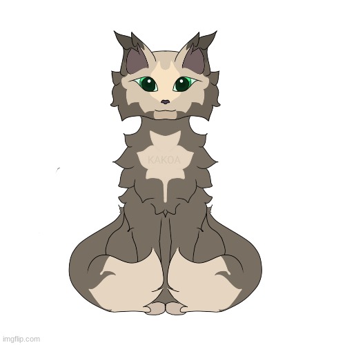 Free cat adopt (first come first serve.) | made w/ Imgflip meme maker