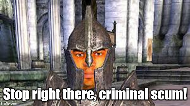 Stop right there criminal scum | Stop right there, criminal scum! | image tagged in stop right there criminal scum | made w/ Imgflip meme maker