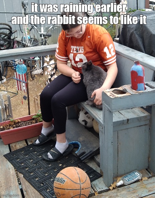 the front yard is full of my dad's stuff | it was raining earlier and the rabbit seems to like it | made w/ Imgflip meme maker