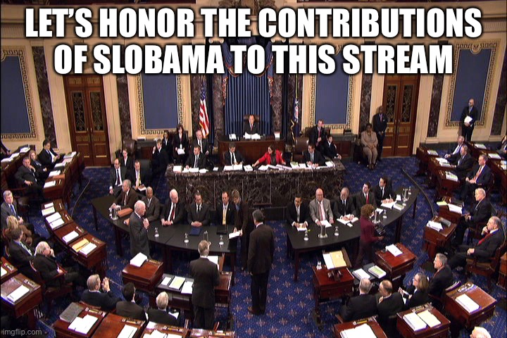 Senate floor | LET’S HONOR THE CONTRIBUTIONS OF SLOBAMA TO THIS STREAM | image tagged in senate floor | made w/ Imgflip meme maker