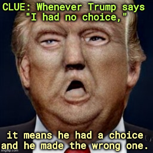 Never fails. | CLUE: Whenever Trump says 
"I had no choice,"; it means he had a choice and he made the wrong one. | image tagged in trump,bad choices | made w/ Imgflip meme maker