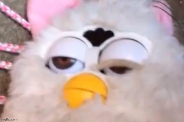 columbia | made w/ Imgflip meme maker