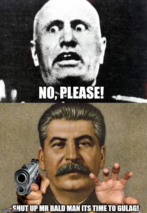 Stalin kill bald man | NO, PLEASE! SHUT UP MR BALD MAN ITS TIME TO GULAG! | image tagged in joseph stalin,mussolini | made w/ Imgflip meme maker