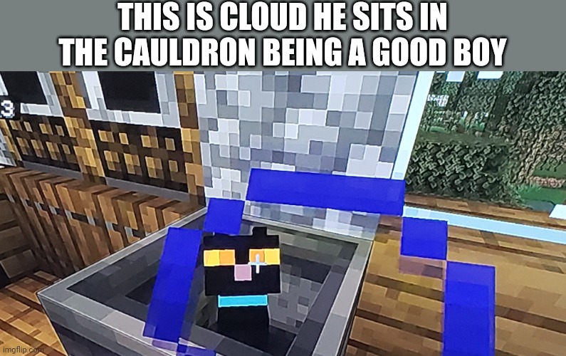He's a good boy | THIS IS CLOUD HE SITS IN THE CAULDRON BEING A GOOD BOY | image tagged in minecraft | made w/ Imgflip meme maker