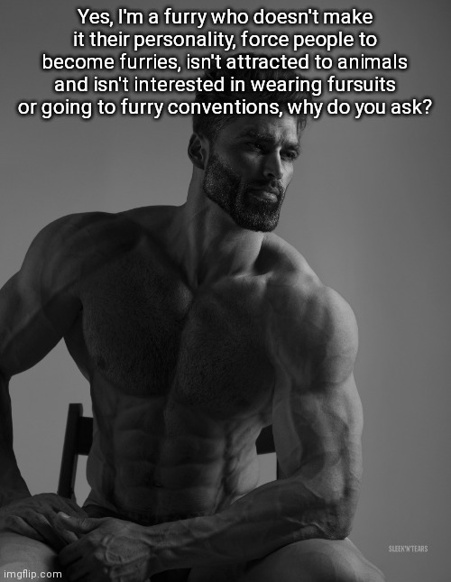 Giga Chad | Yes, I'm a furry who doesn't make it their personality, force people to become furries, isn't attracted to animals and isn't interested in wearing fursuits or going to furry conventions, why do you ask? | image tagged in giga chad | made w/ Imgflip meme maker