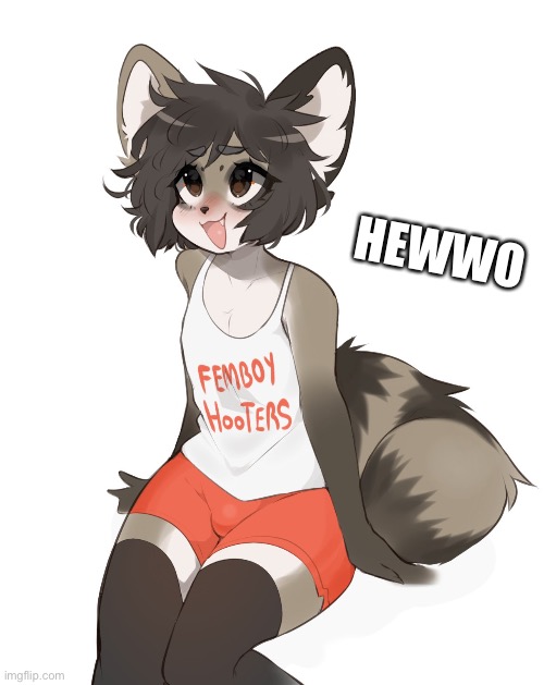 I decided to post here after seeing that my friend (reaper) make good content (Art by Fredek666) | HEWWO | image tagged in femboy,hooters,cute,adorable | made w/ Imgflip meme maker