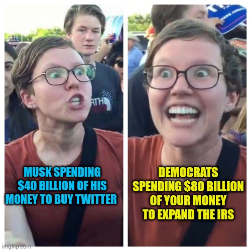 Libtards celebrate IRS expansion | DEMOCRATS SPENDING $80 BILLION OF YOUR MONEY TO EXPAND THE IRS; MUSK SPENDING $40 BILLION OF HIS MONEY TO BUY TWITTER | image tagged in social justice warrior hypocrisy | made w/ Imgflip meme maker