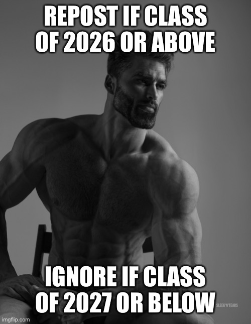 Giga Chad | REPOST IF CLASS OF 2026 OR ABOVE; IGNORE IF CLASS OF 2027 OR BELOW | image tagged in giga chad | made w/ Imgflip meme maker