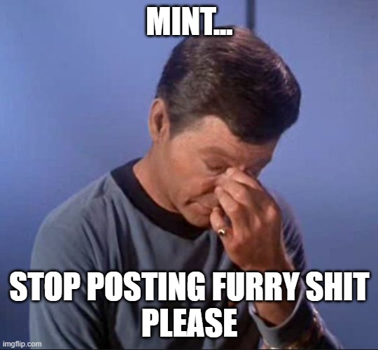 dammit mint | MINT... STOP POSTING FURRY SHIT
PLEASE | image tagged in dammit jim | made w/ Imgflip meme maker