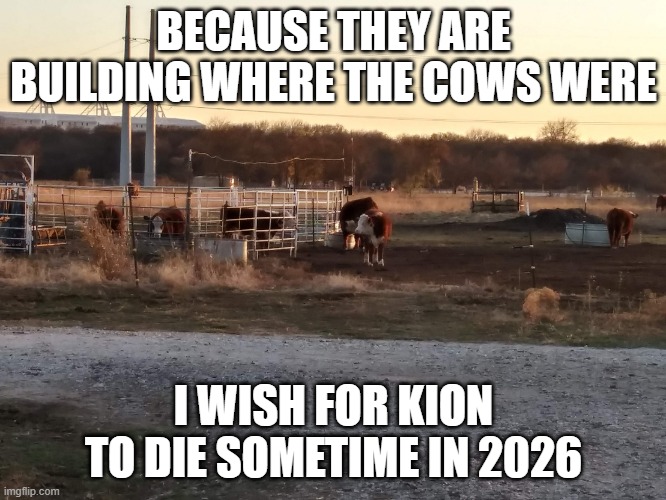 My daughter will be old enough to drive by then | BECAUSE THEY ARE BUILDING WHERE THE COWS WERE; I WISH FOR KION TO DIE SOMETIME IN 2026 | image tagged in cows | made w/ Imgflip meme maker