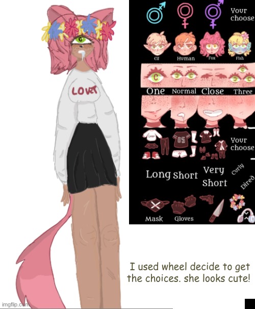 oc generator (i'm going to be doing a lot of these) | I used wheel decide to get the choices. she looks cute! | image tagged in drawing | made w/ Imgflip meme maker