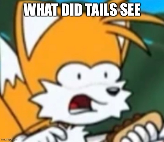 WHAT DID TAILS SEE | made w/ Imgflip meme maker