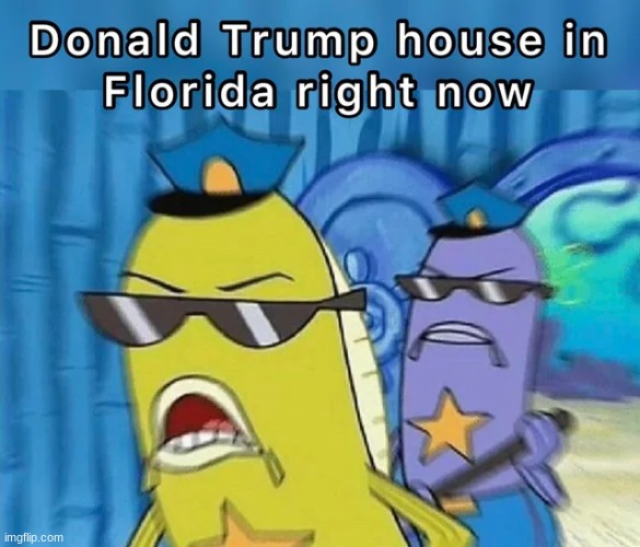 this was found in  r/bikinibottomtwitter holy sh- | made w/ Imgflip meme maker