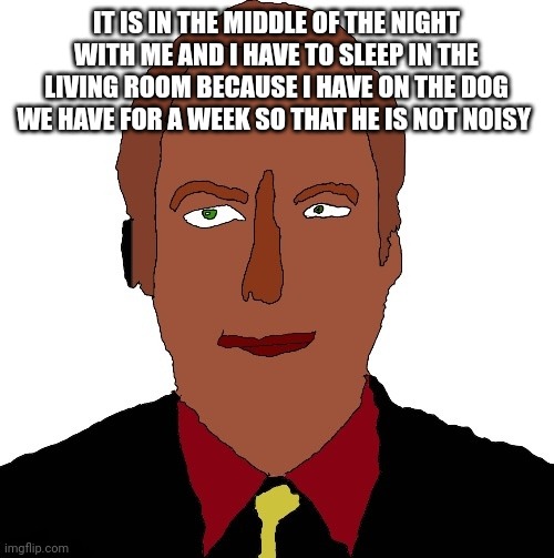 Better call Saul art | IT IS IN THE MIDDLE OF THE NIGHT WITH ME AND I HAVE TO SLEEP IN THE LIVING ROOM BECAUSE I HAVE ON THE DOG WE HAVE FOR A WEEK SO THAT HE IS NOT NOISY | image tagged in better call saul art | made w/ Imgflip meme maker