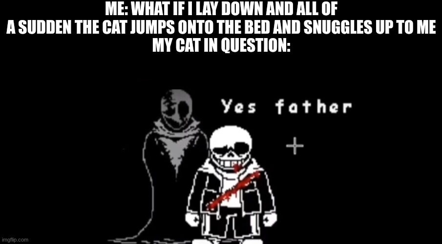 jhb | ME: WHAT IF I LAY DOWN AND ALL OF A SUDDEN THE CAT JUMPS ONTO THE BED AND SNUGGLES UP TO ME
MY CAT IN QUESTION: | made w/ Imgflip meme maker