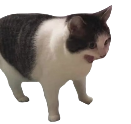 High Quality screaming cat transparent Blank Meme Template