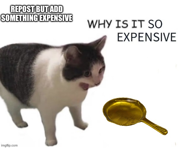 WHY IS IT SO EXPENSIVE | REPOST BUT ADD SOMETHING EXPENSIVE | image tagged in why is it so expensive | made w/ Imgflip meme maker